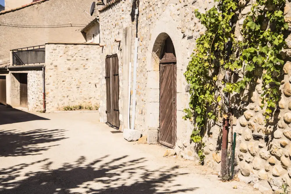 Façana rústica de pedra d'una masia en rehabilitació amb portalada d'arc de mig punt, portes de fusta antiga i una parra enfiladissa. - Equip Cairat Reformes
